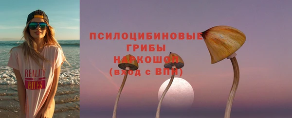 эйфоретик Богородицк