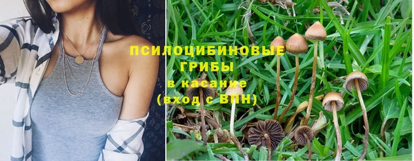 эйфоретик Богородицк